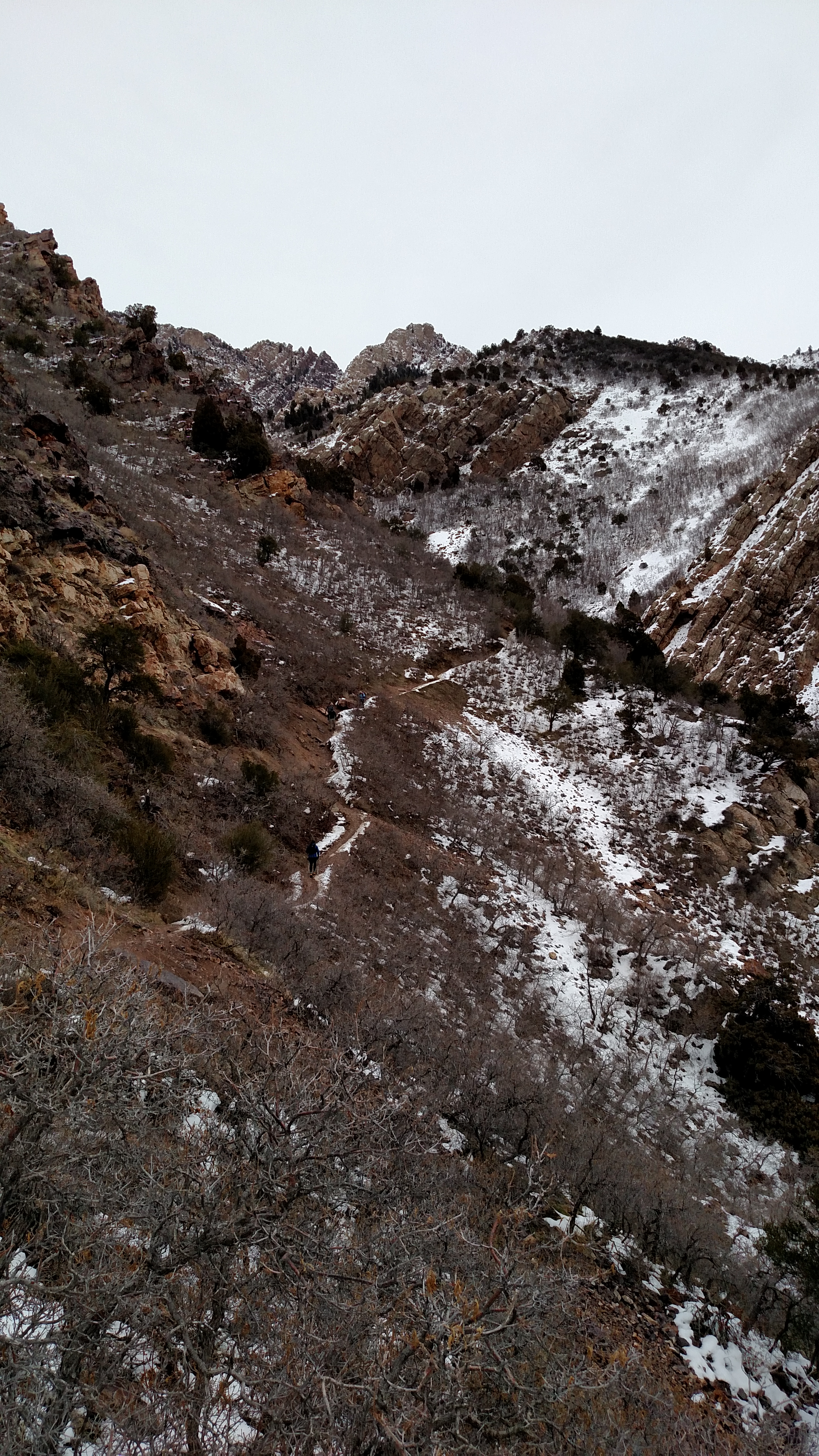 Trail